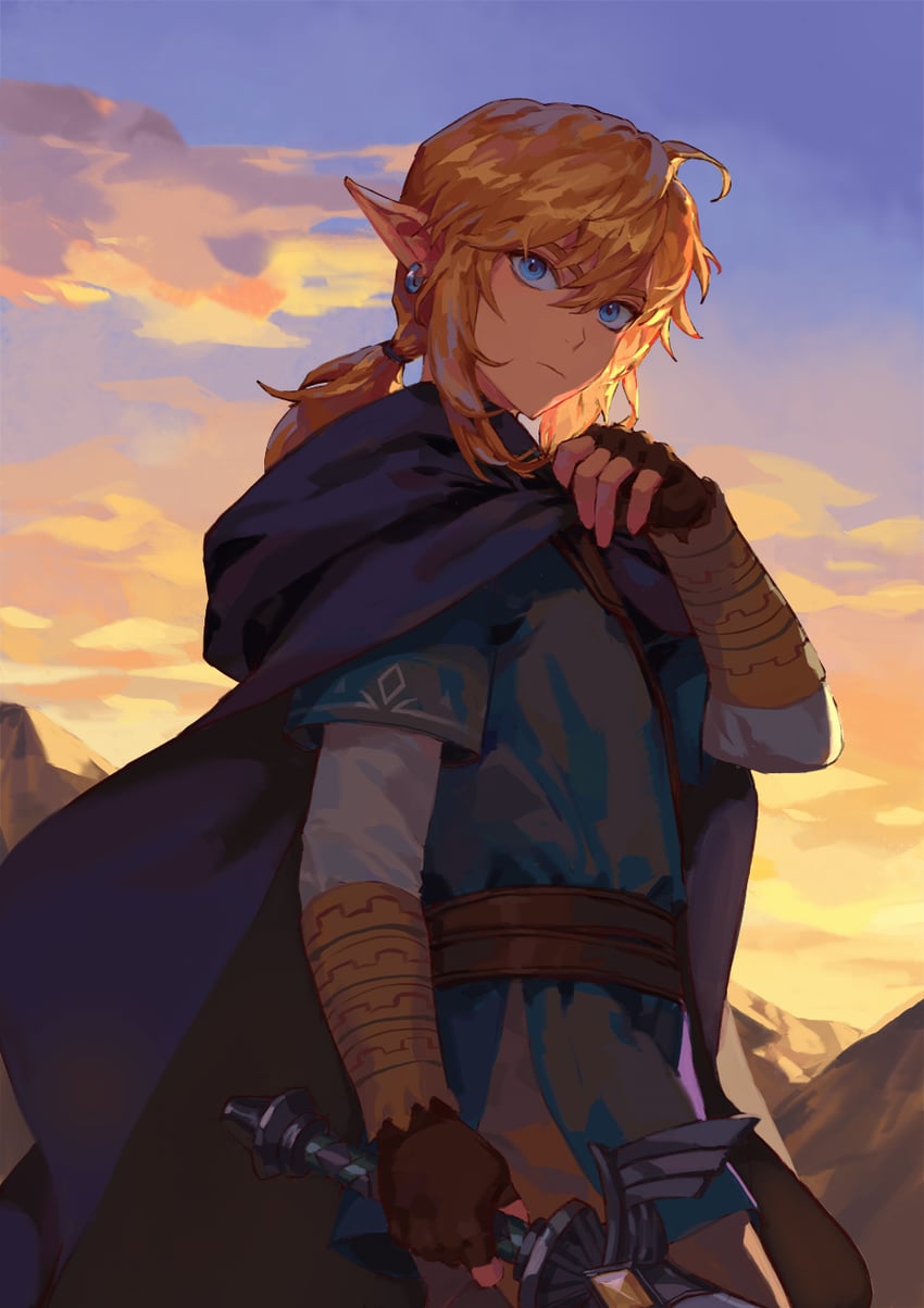 link (the legend of zelda and 1 more) drawn by purpleneak
