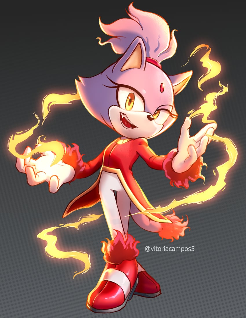 blaze the cat and burning blaze (sonic) drawn by vitoriacampos