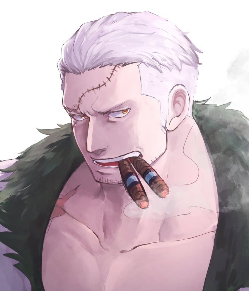 smoker (one piece) drawn by yamakazi47