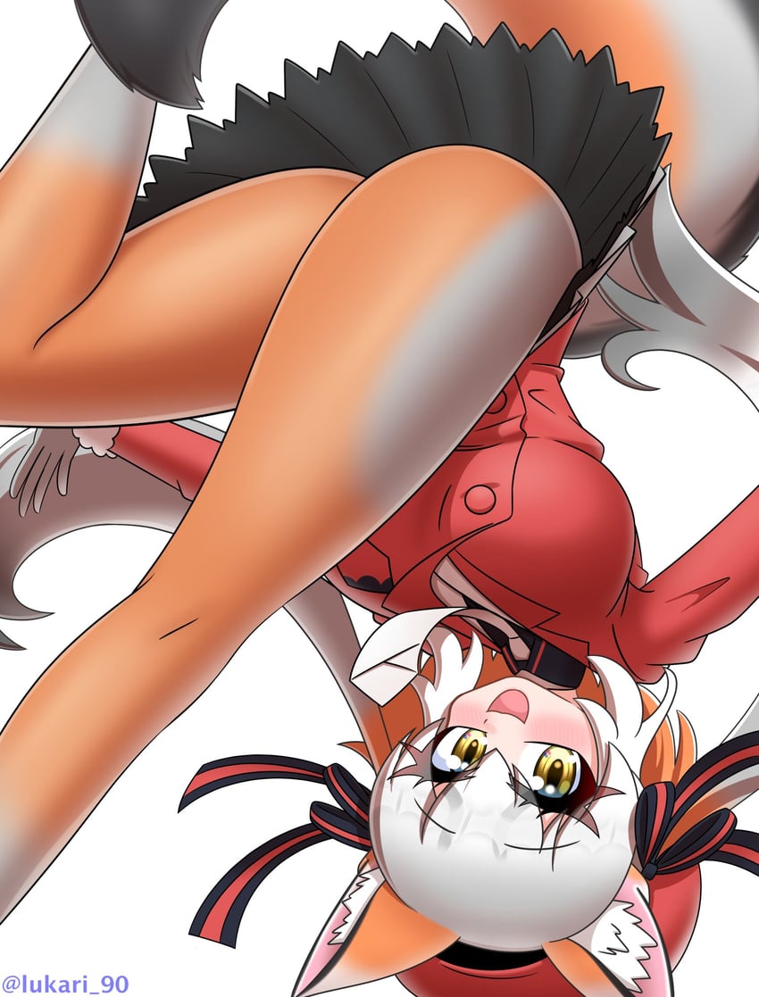 island fox (kemono friends and 1 more) drawn by lukari