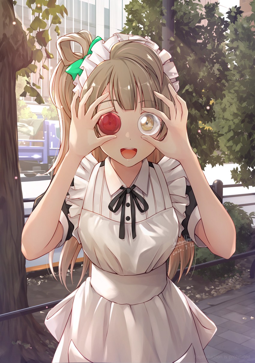 minami kotori (love live! and 1 more) drawn by shamakho