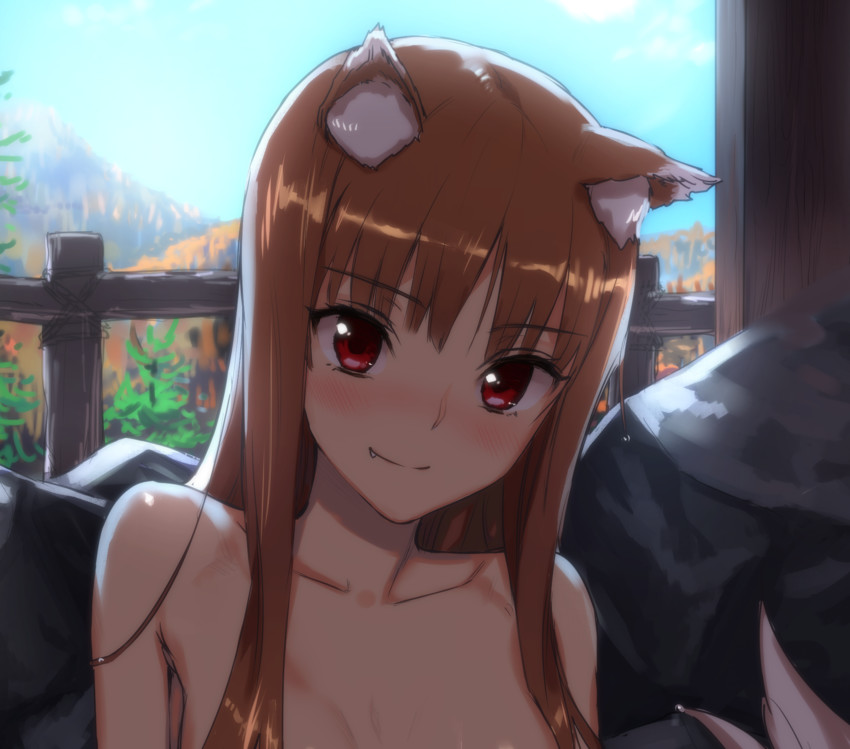 Holo Spice And Wolf Drawn By Kawakami Rokkaku Danbooru