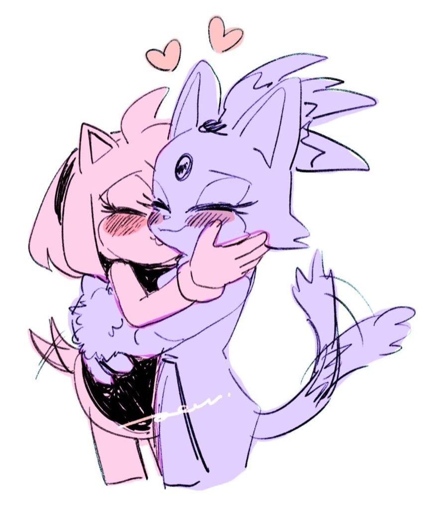 amy rose and blaze the cat (sonic) drawn by pam3le