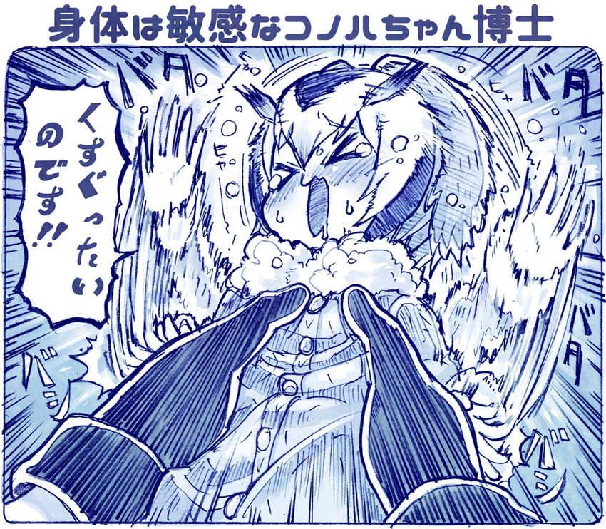 northern white-faced owl (kemono friends) drawn by sakino_shingetsu
