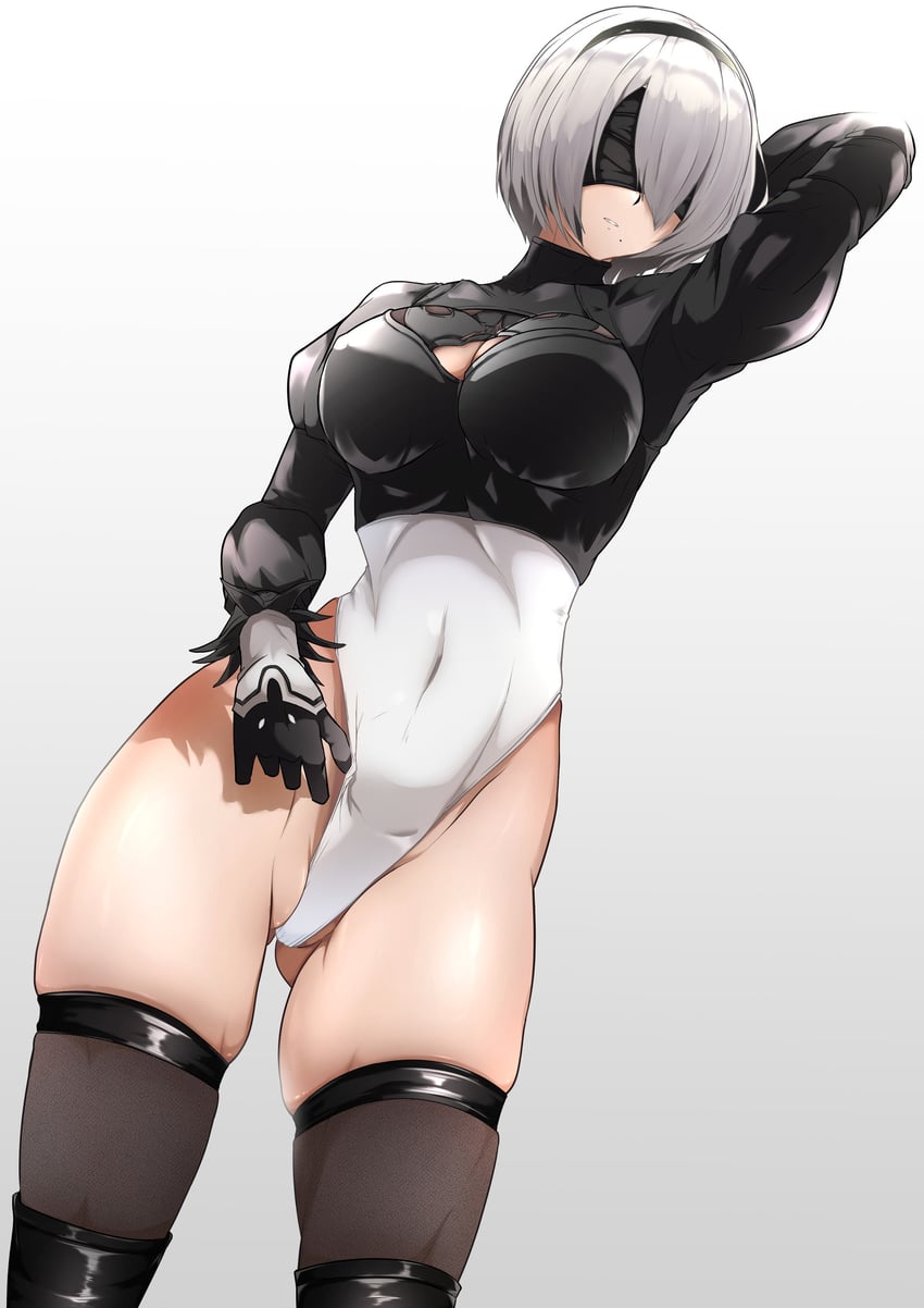 2b (nier and 1 more) drawn by orionstar