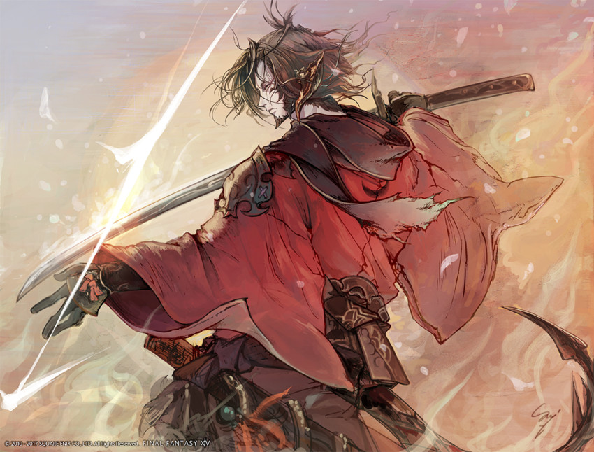 warrior of light and samurai (final fantasy and 1 more)