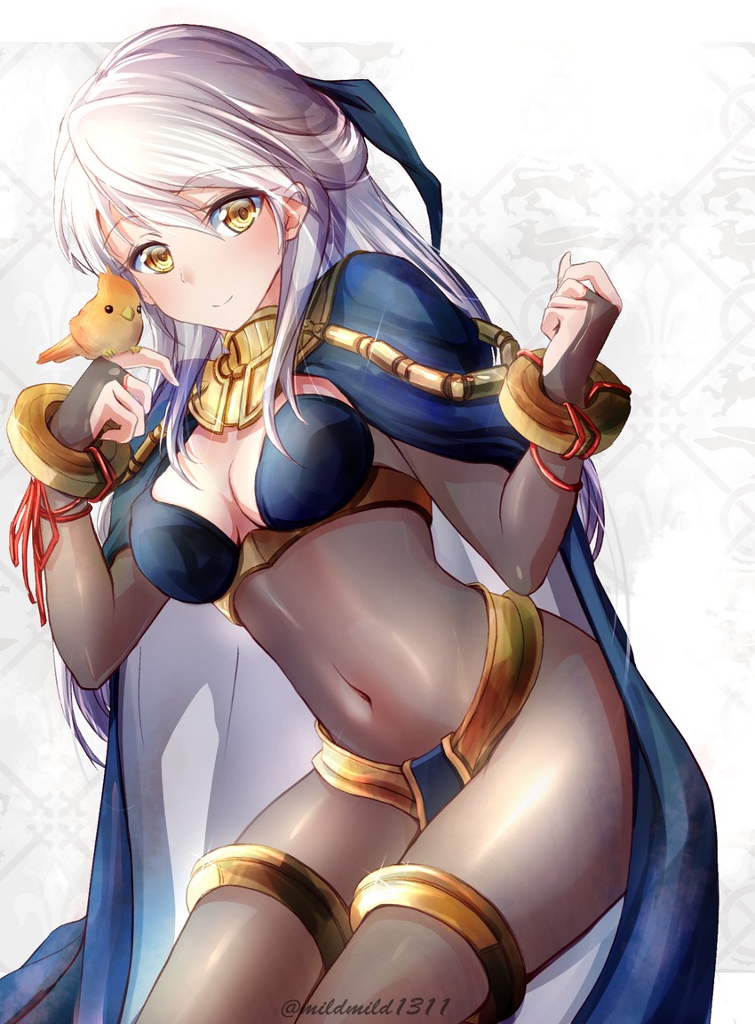 micaiah and yune (fire emblem and 2 more) drawn by clear_glass_(mildmild1311)