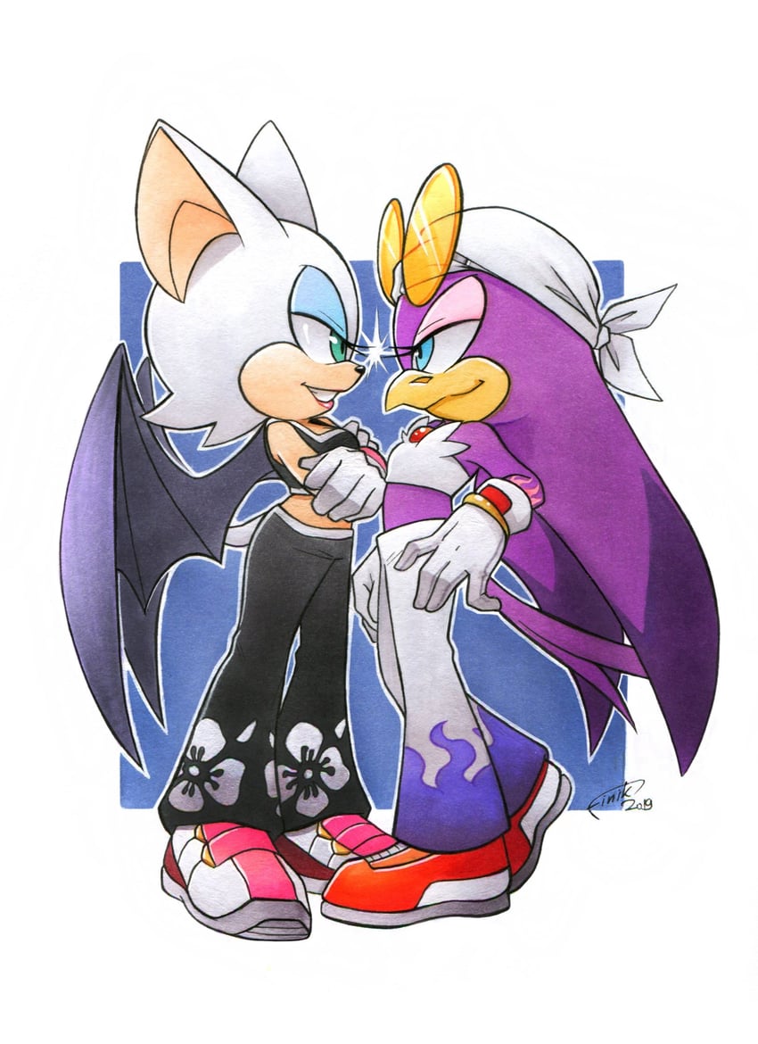rouge the bat and wave the swallow (sonic and 1 more) drawn by finik