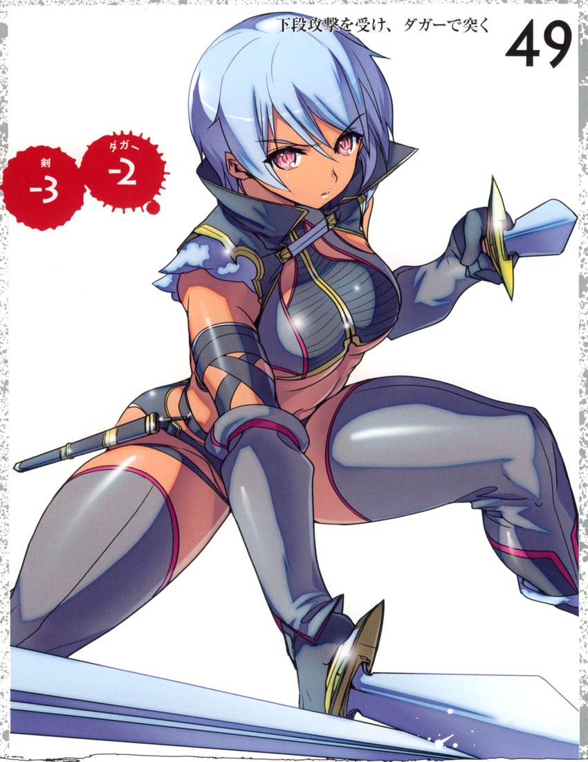 irma and fang assassin irma (queen's blade) drawn by akaga_hirotaka