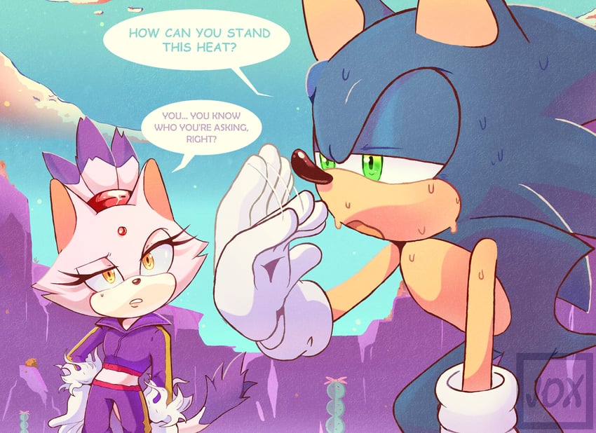 sonic the hedgehog and blaze the cat (sonic) drawn by knoxiejox