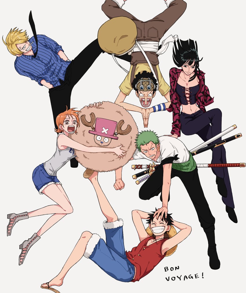 nami, monkey d. luffy, nico robin, roronoa zoro, sanji, and 2 more (one piece) drawn by hocpoc