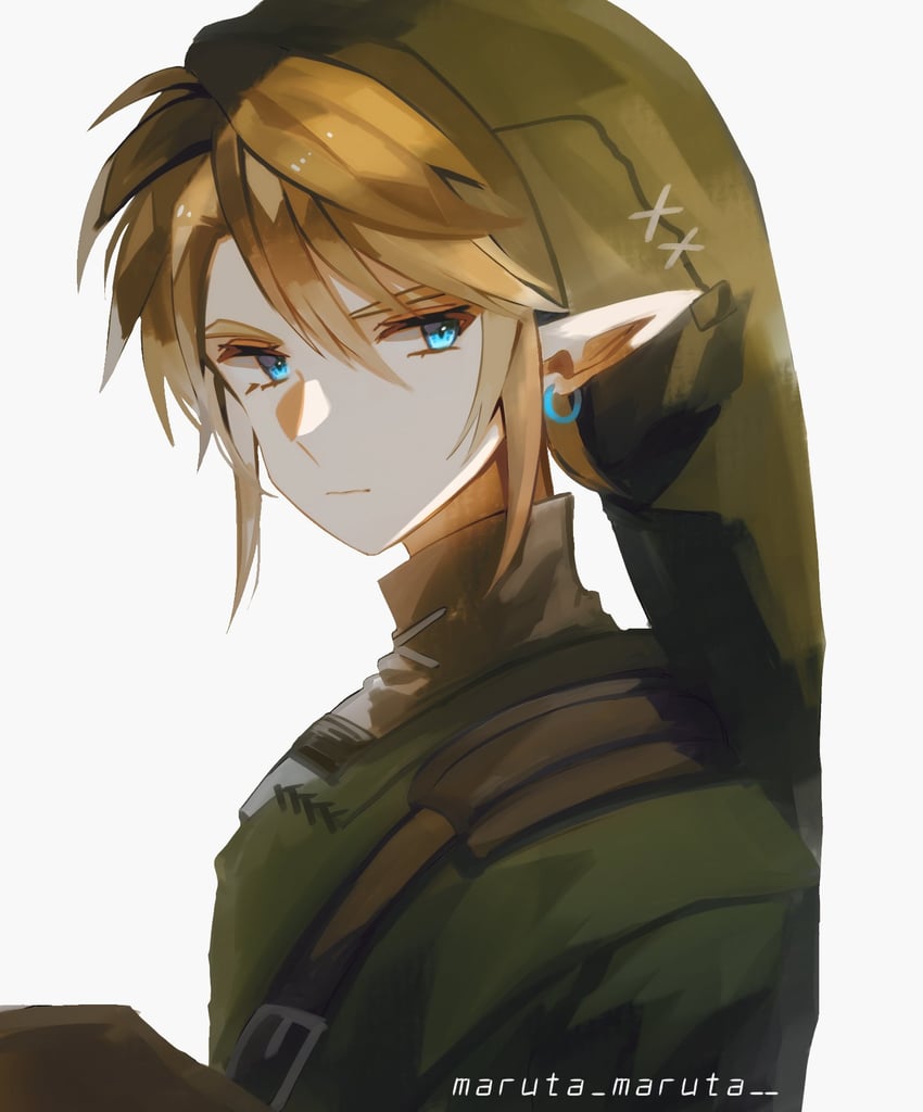 link (the legend of zelda and 1 more) drawn by maruta_maruta