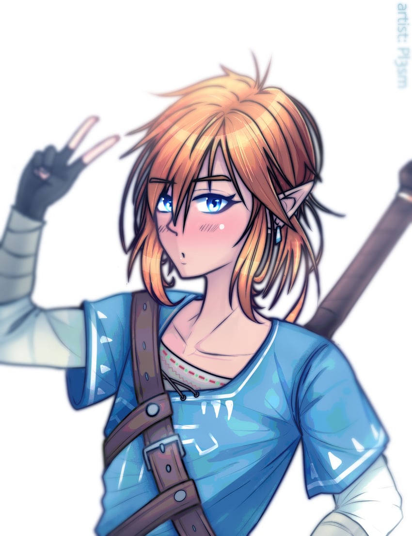 link and princess zelda (the legend of zelda and 1 more) drawn by kall1sto
