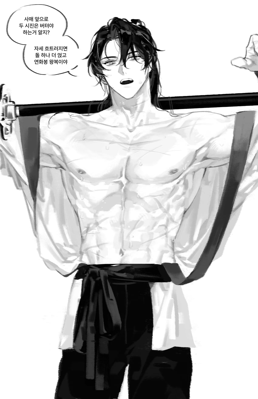 cheongmyeong (return of the mount hua sect) drawn by wolgang