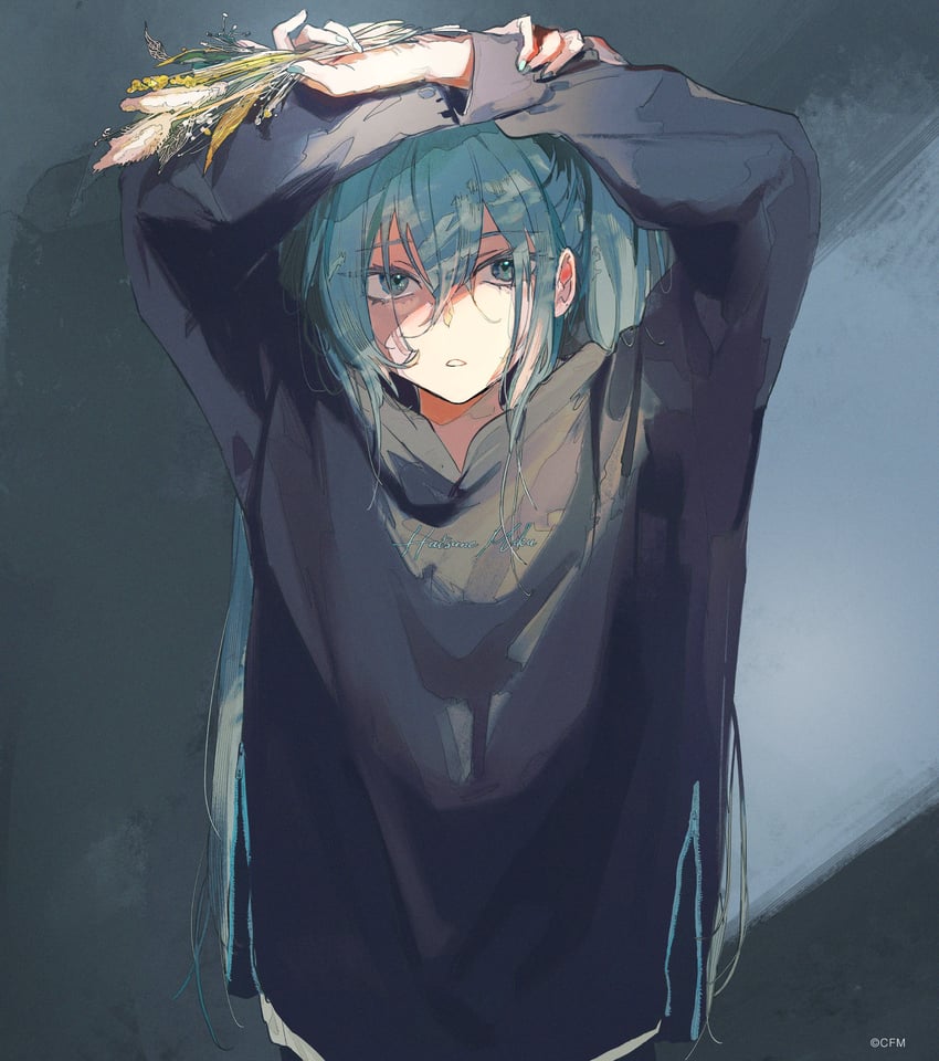 hatsune miku (vocaloid and 1 more) drawn by hassan_(sink916)