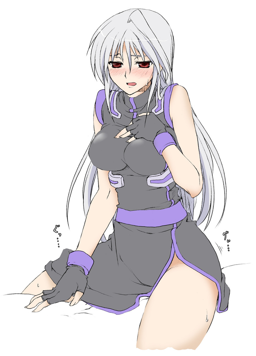 reinforce (lyrical nanoha and 3 more) drawn by elf_(stroll_in_the_woods)
