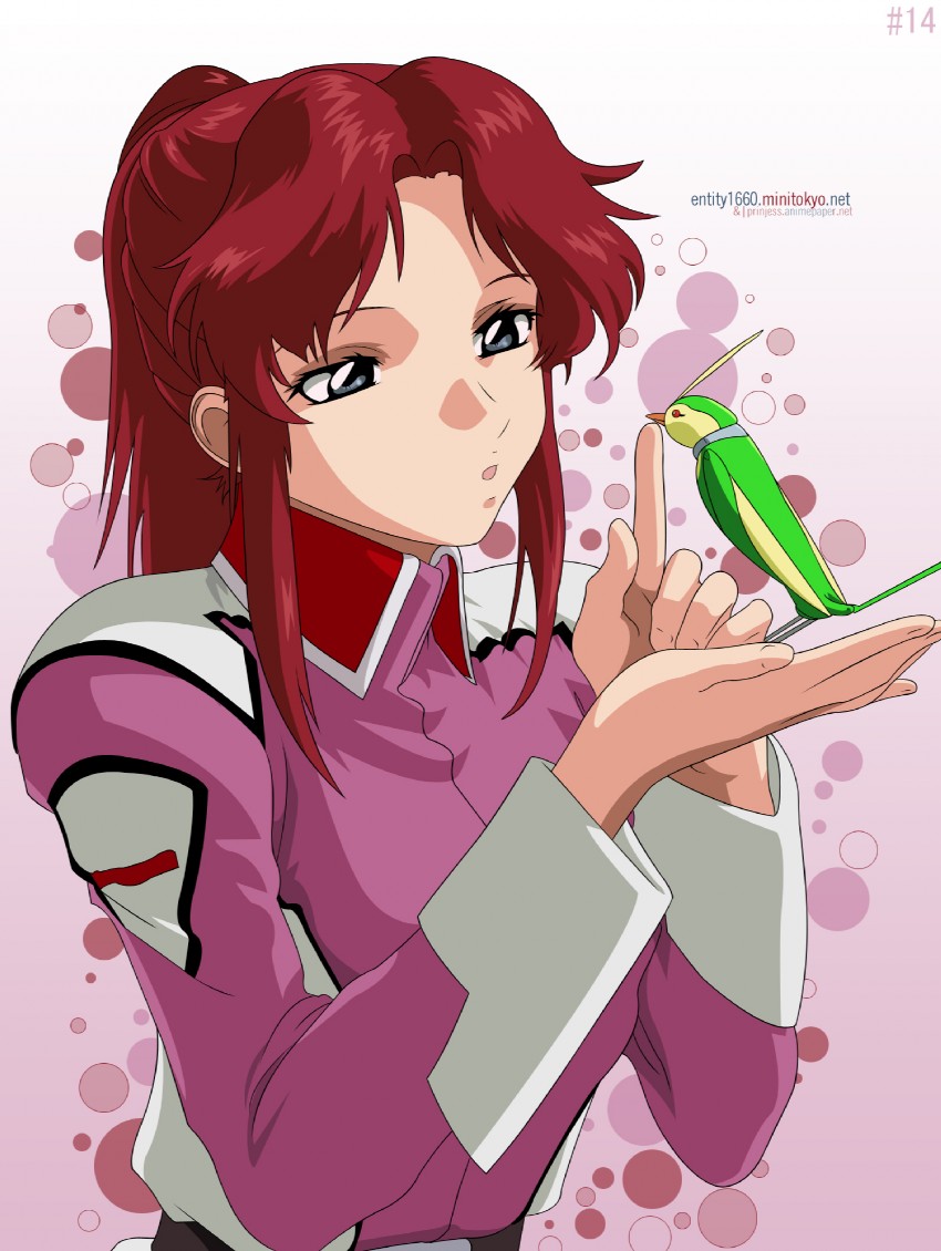 flay allster and torii (gundam and 1 more)