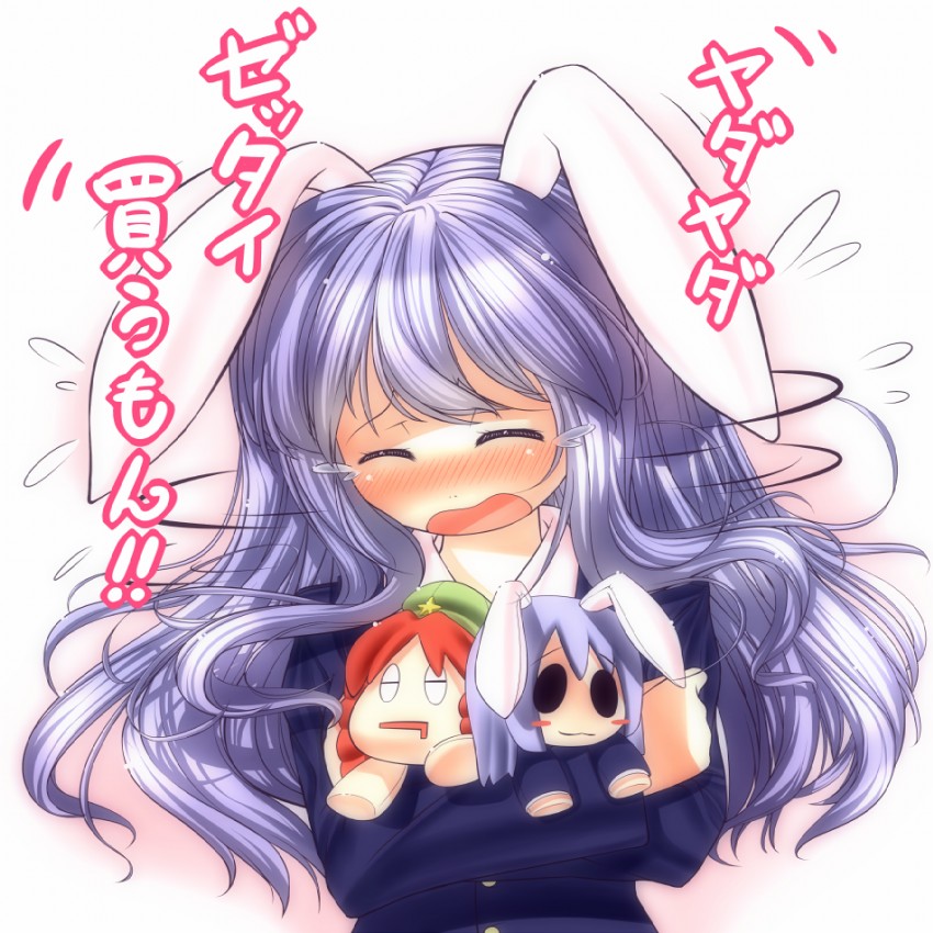 reisen udongein inaba and hong meiling (touhou) drawn by onion_pikupiku