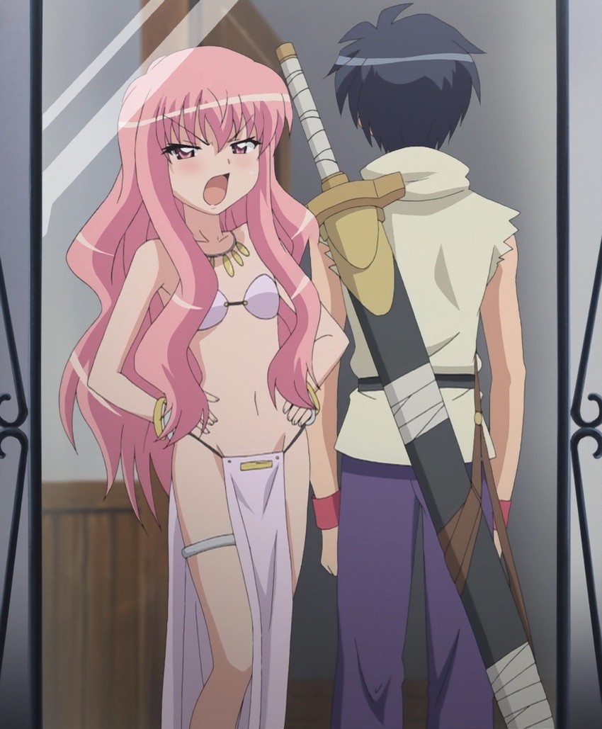louise francoise le blanc de la valliere and hiraga saito (zero no tsukaima)