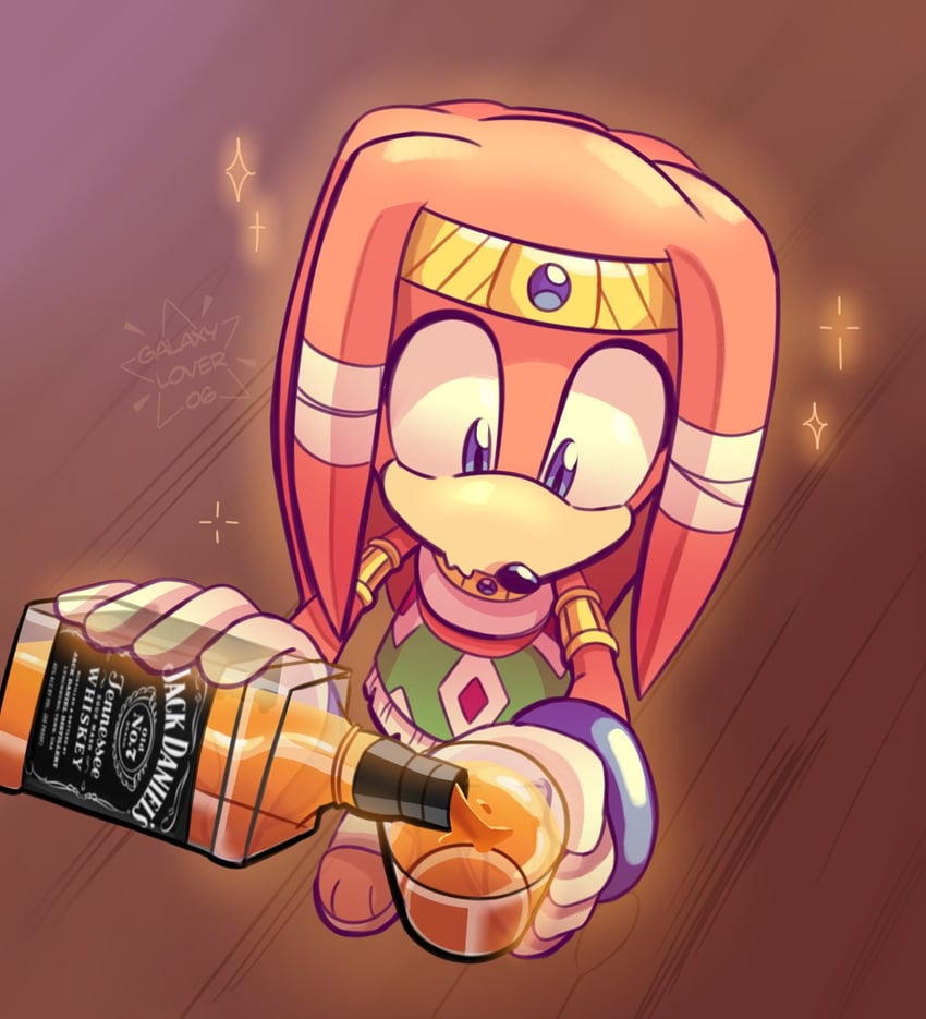tikal the echidna (sonic and 1 more) drawn by galaxylover06