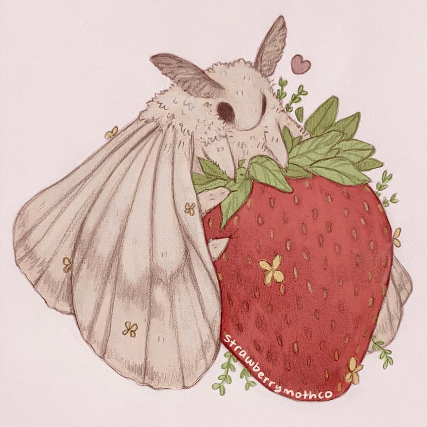 original drawn by elizabeth_(strwbmoth)