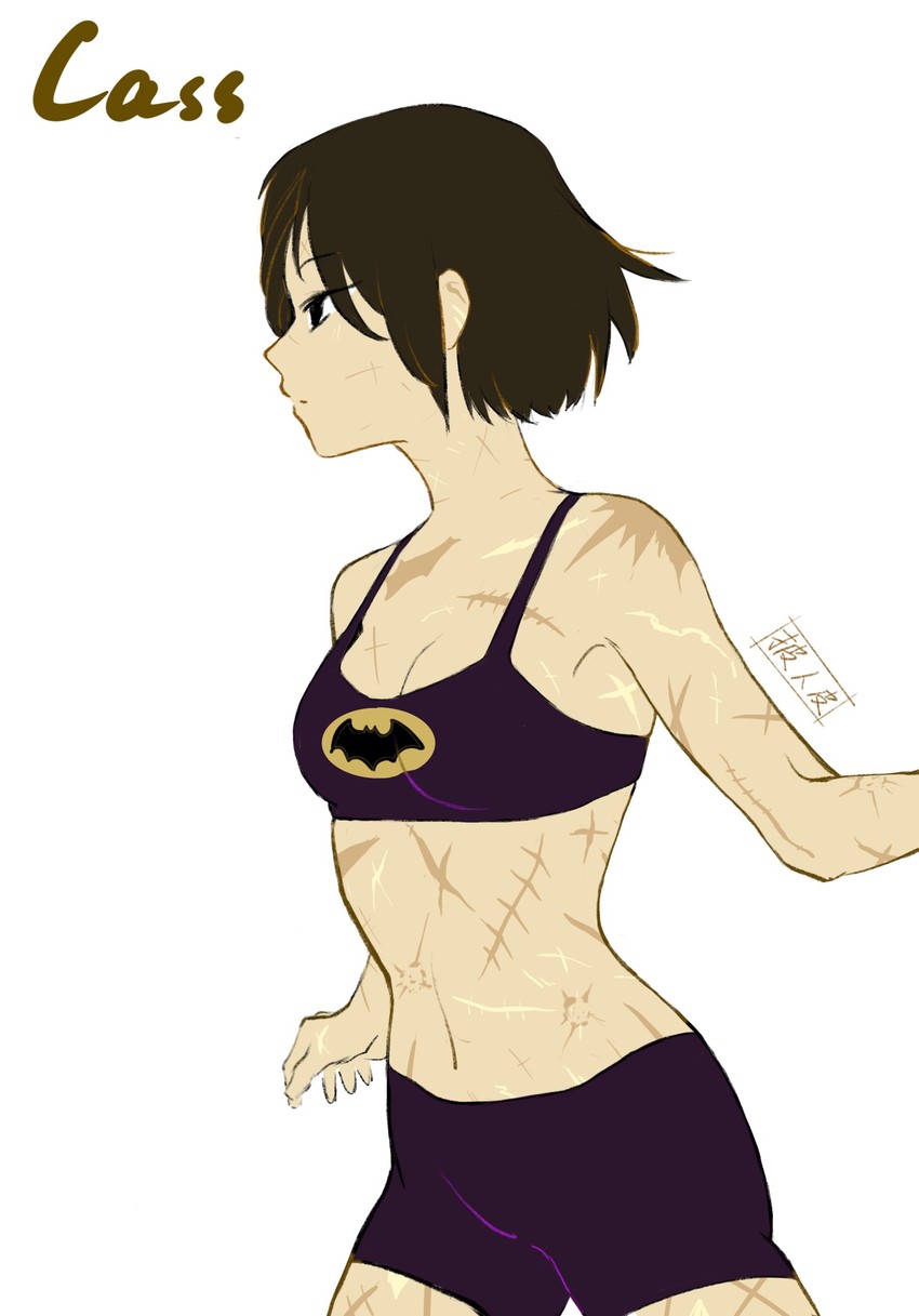 batgirl and cassandra cain (dc comics and 1 more) drawn by pirenpi
