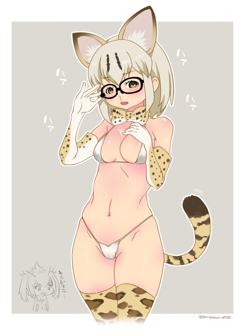rockhopper penguin and margay (kemono friends) drawn by mudou_eichi