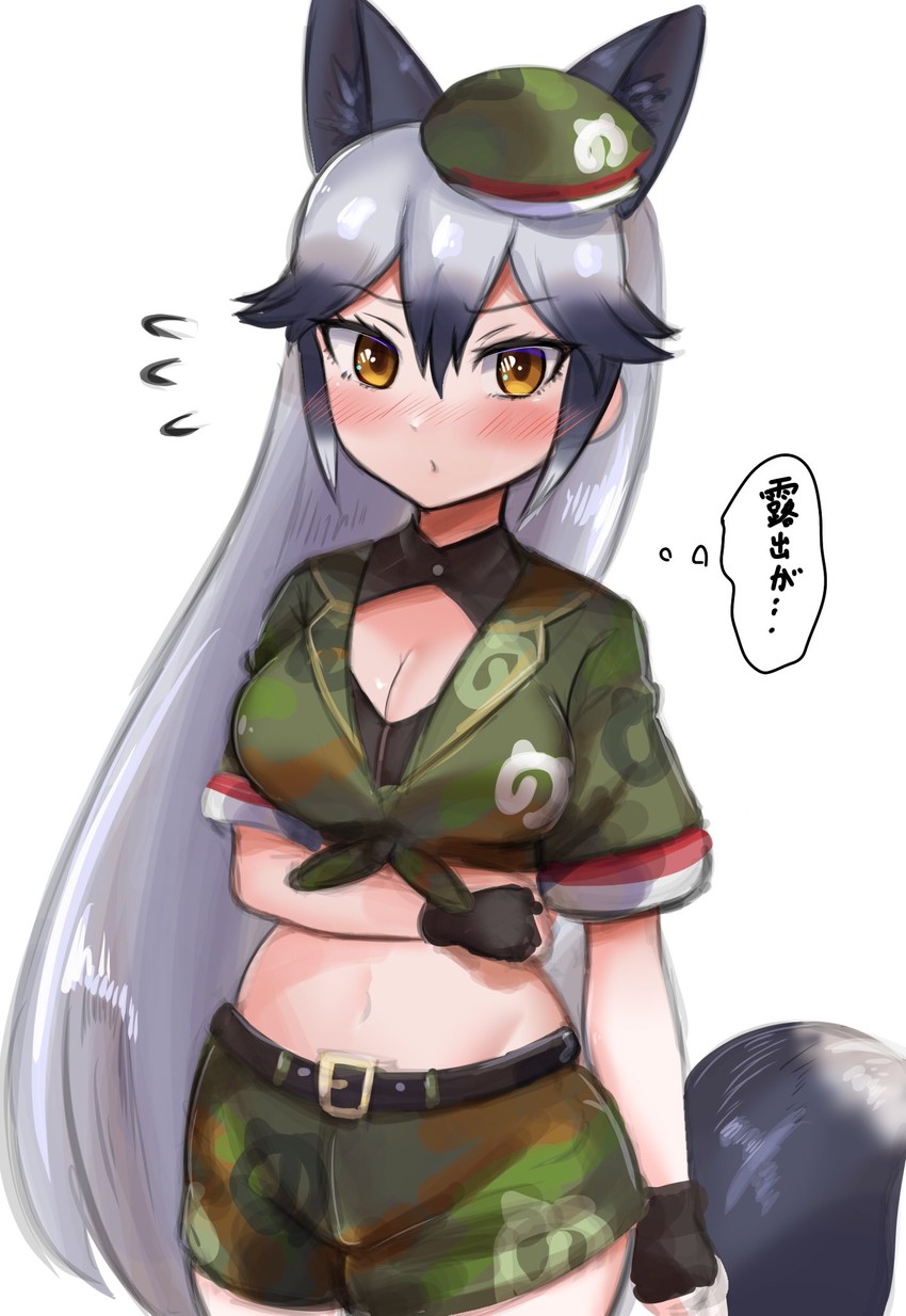 silver fox (kemono friends and 1 more) drawn by aramaru