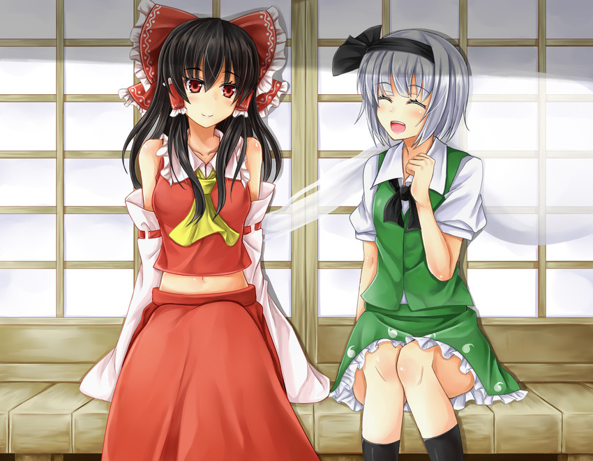 hakurei reimu and konpaku youmu (touhou) drawn by daichi_(tokoya)