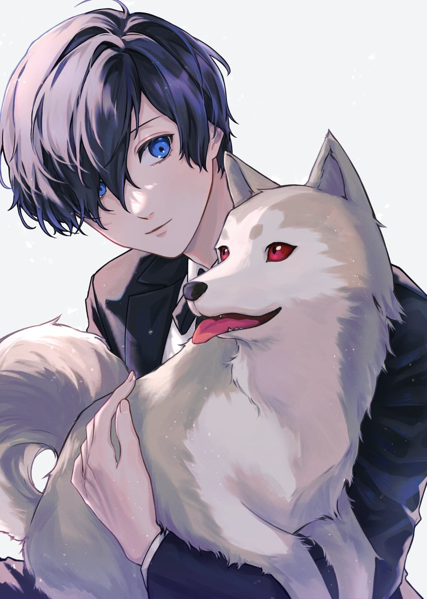 yuuki makoto and koromaru (persona and 1 more) drawn by shichimi_0000