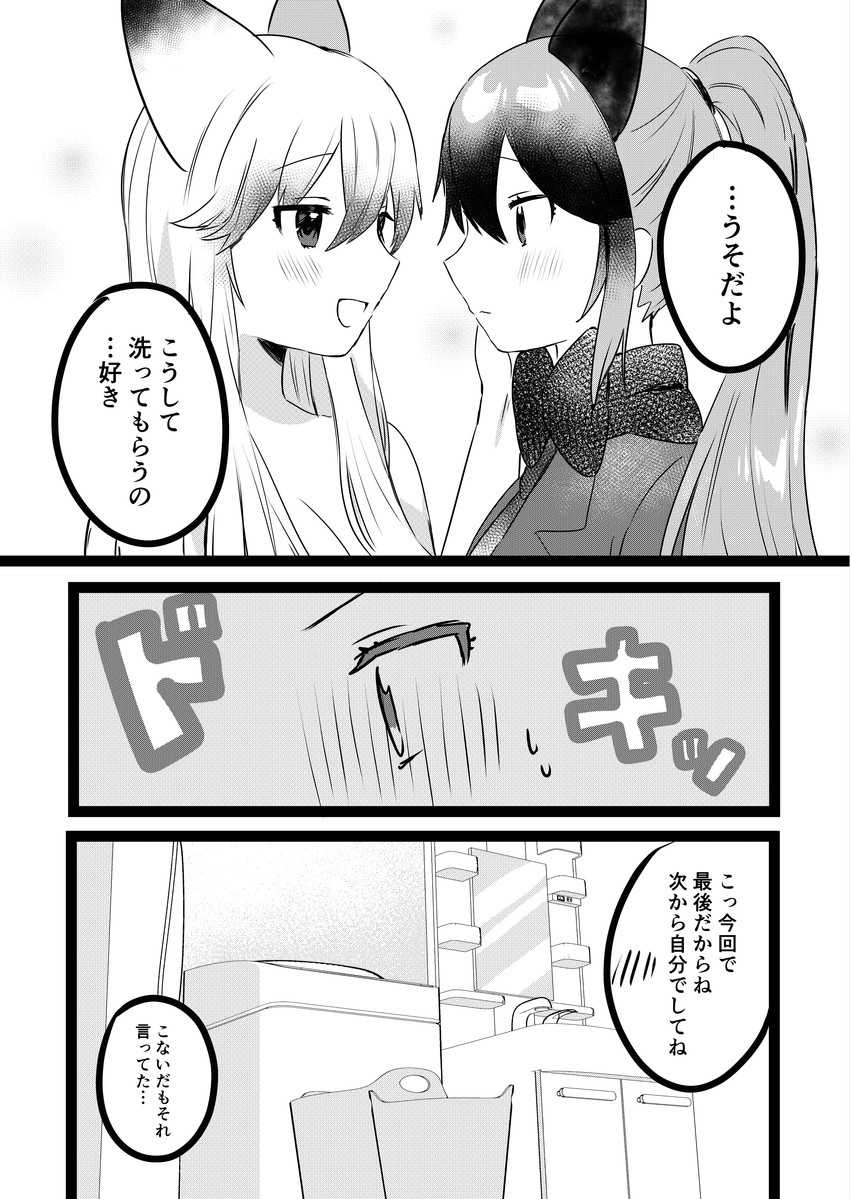 silver fox and ezo red fox (kemono friends) drawn by suicchonsuisui