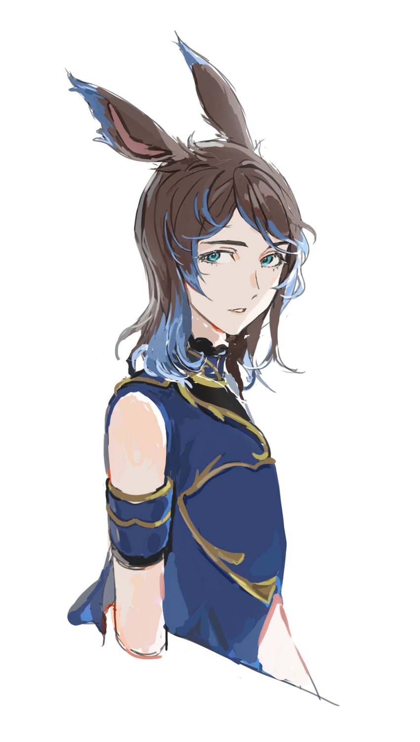 warrior of light (final fantasy and 1 more) drawn by lumeru_33