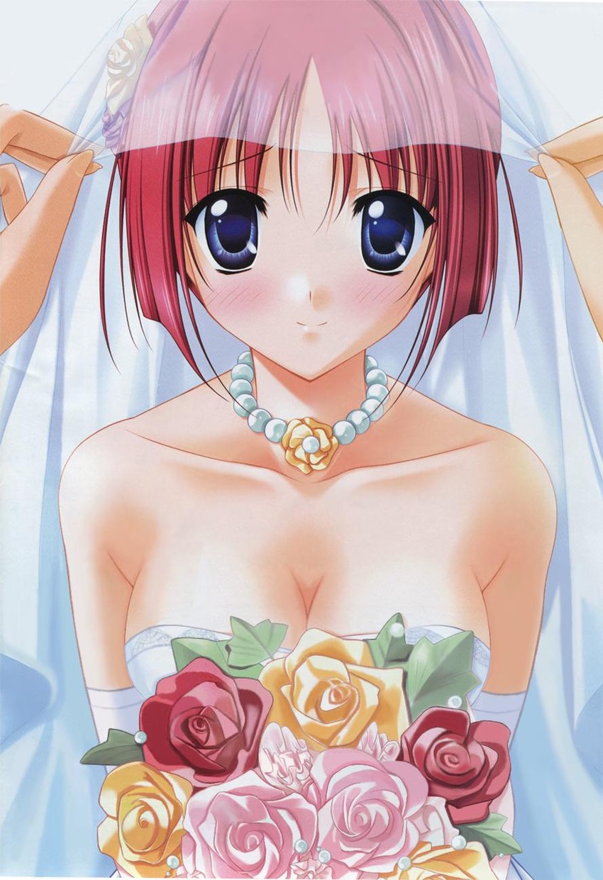 shirakawa kotori (da capo and 1 more) drawn by mogami_noa