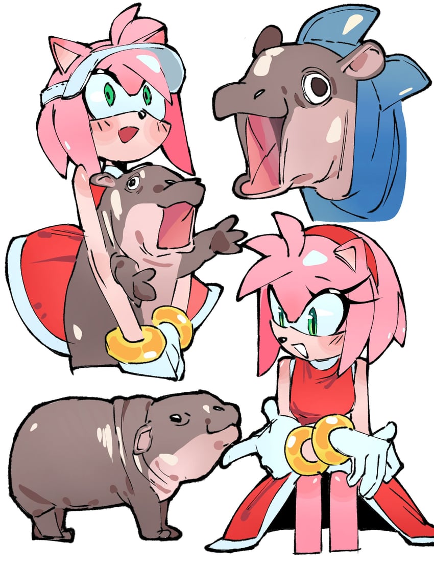 amy rose and moo deng (sonic) drawn by guin_(imarealpenguin)
