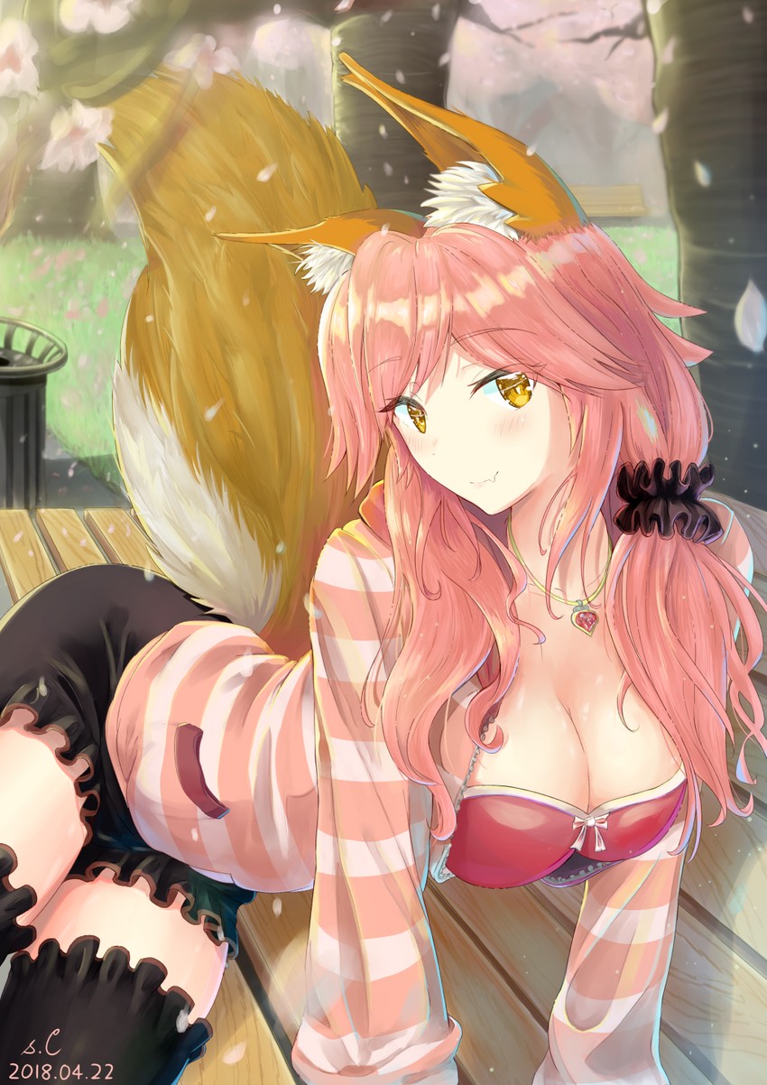 tamamo and tamamo no mae (fate and 1 more) drawn by s.claw