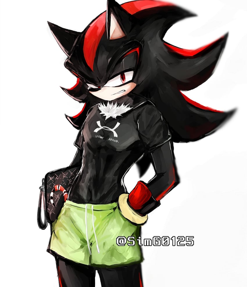 shadow the hedgehog (sonic) drawn by shapam_(zeepgalae)