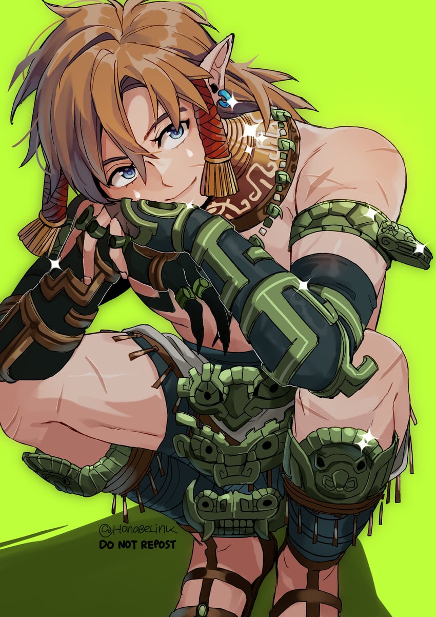 link (the legend of zelda and 1 more) drawn by hanaberin