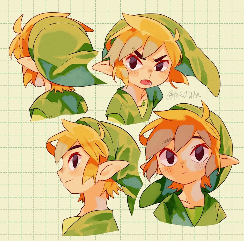 link and toon link (the legend of zelda and 1 more) drawn by tokuura