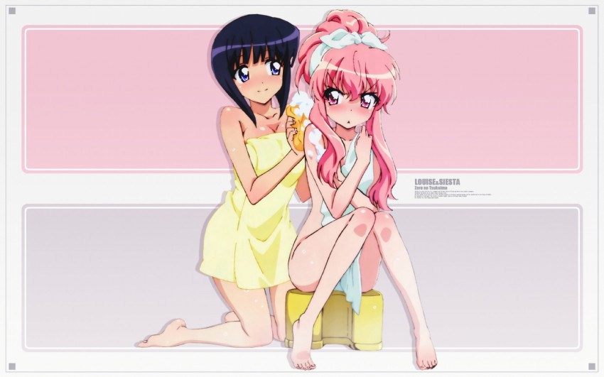 louise francoise le blanc de la valliere and siesta (zero no tsukaima) drawn by hiyamizu_yukie