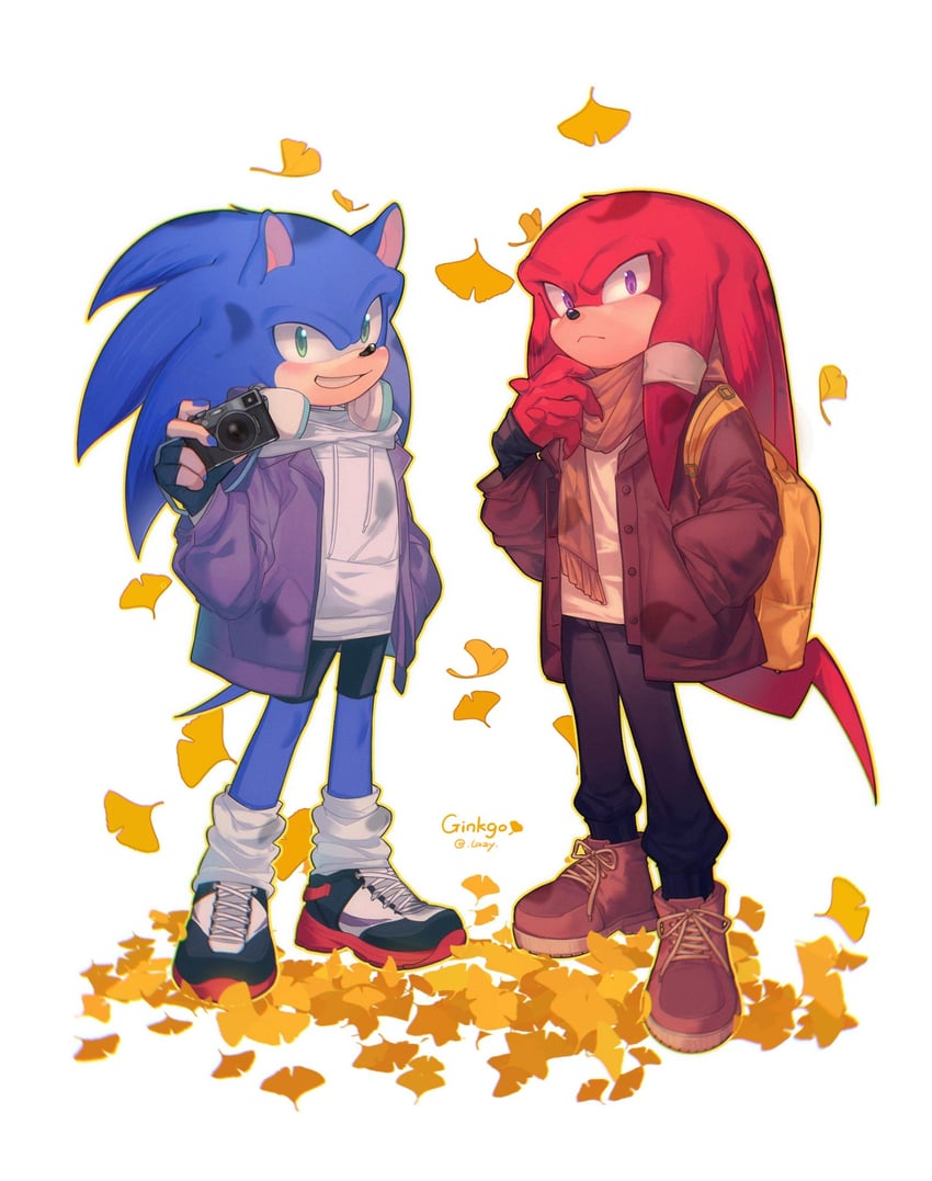 sonic the hedgehog and knuckles the echidna (sonic) drawn by lazy_kun
