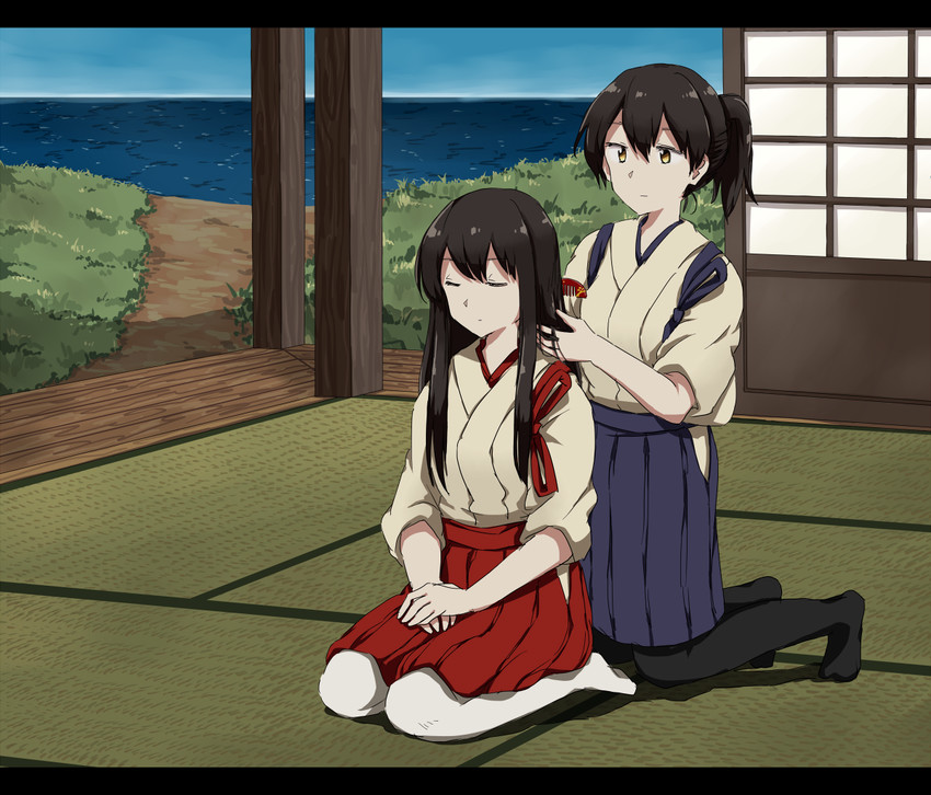 kaga and akagi (kantai collection) drawn by any_(lucky_denver_mint)