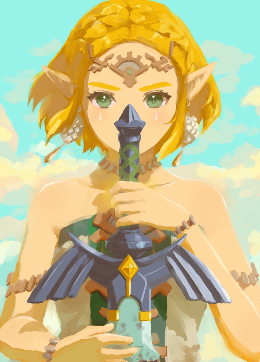 princess zelda (the legend of zelda and 1 more) drawn by fuwamoko_momen_toufu