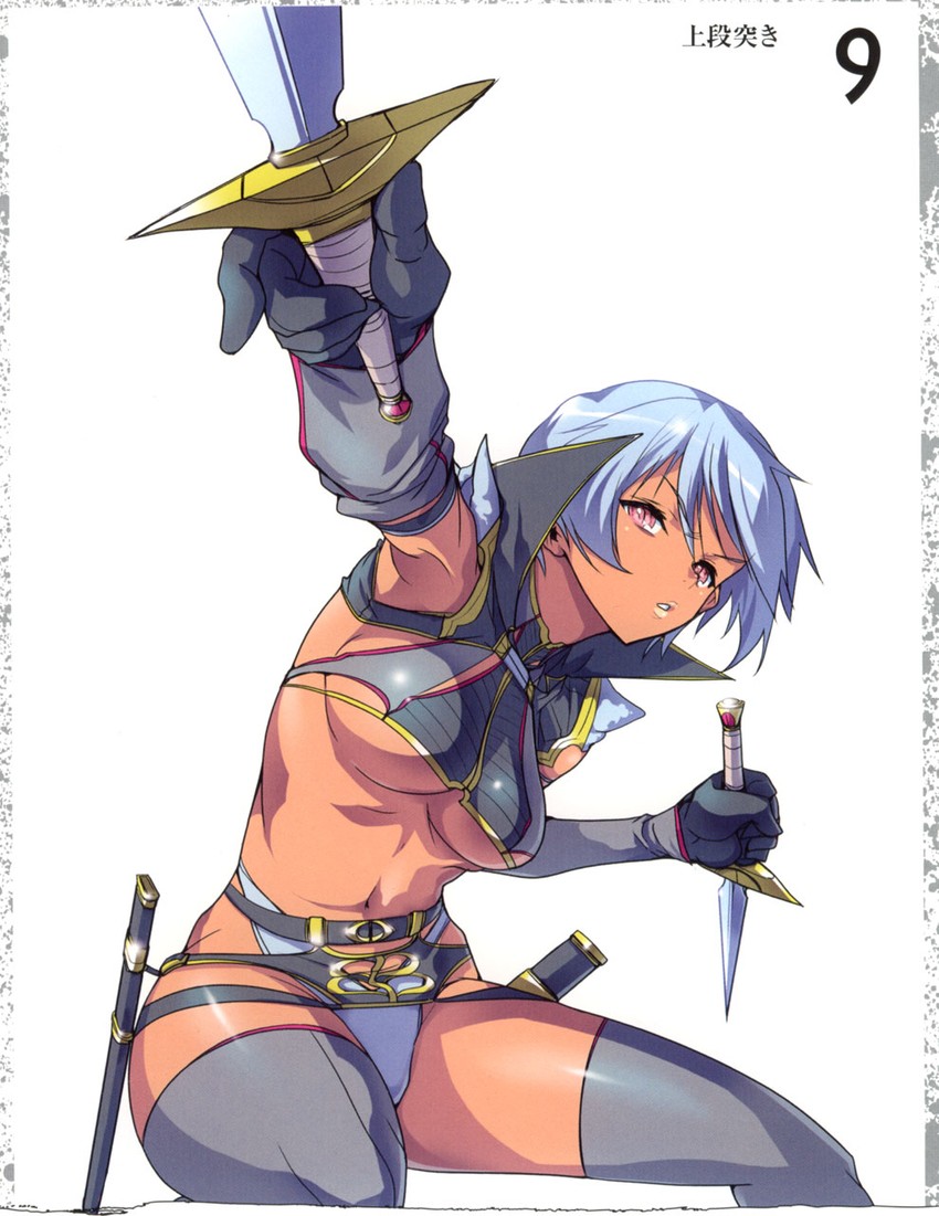 irma and fang assassin irma (queen's blade) drawn by akaga_hirotaka