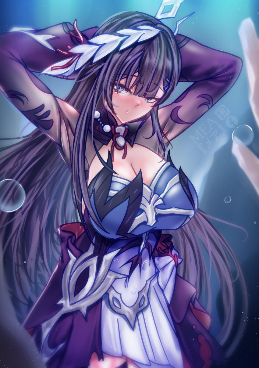 hysilens (honkai and 1 more) drawn by mea_(manami030)
