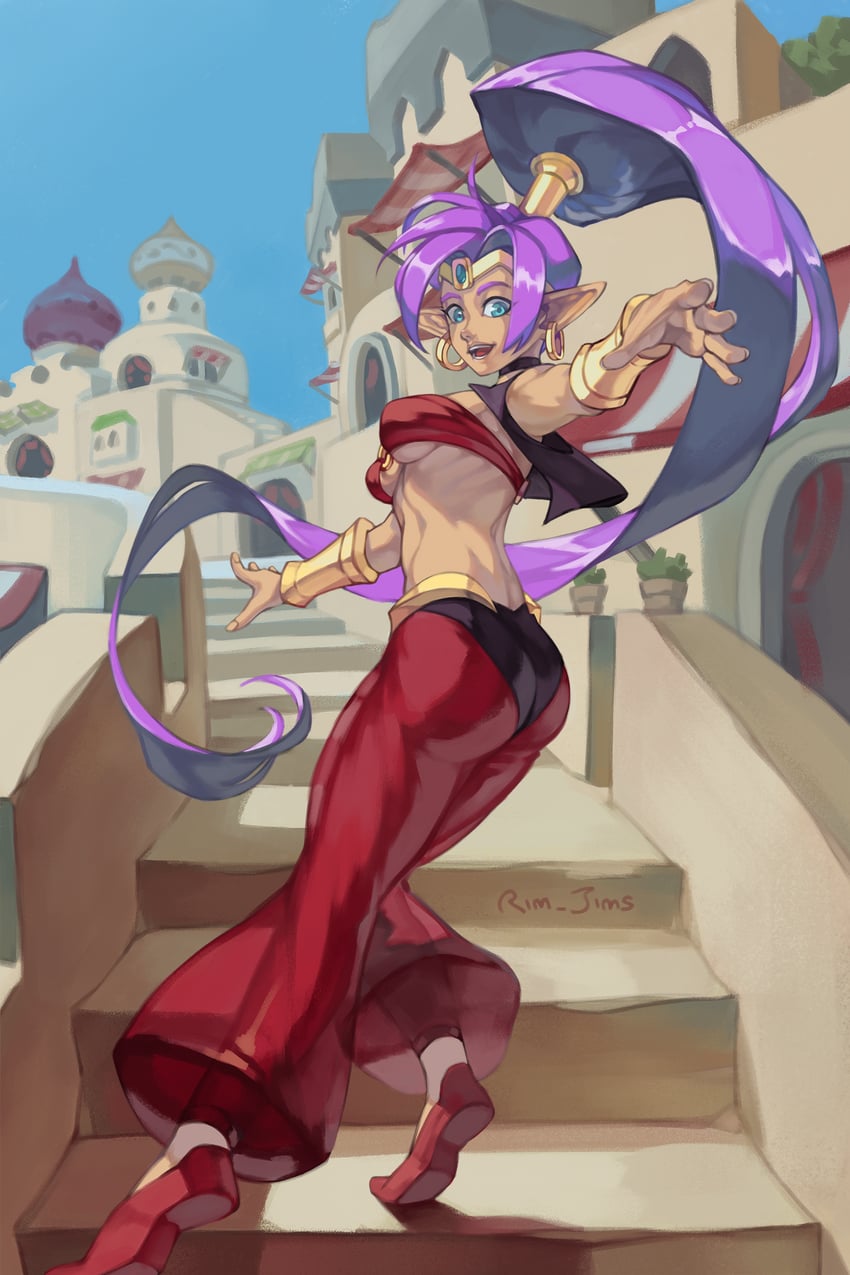shantae (shantae) drawn by rim_jims