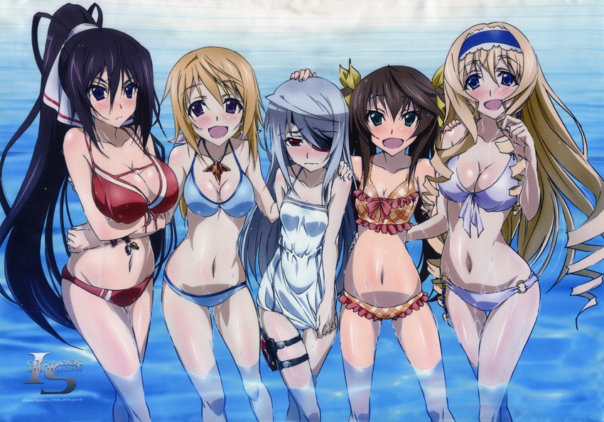 charlotte dunois, cecilia alcott, laura bodewig, shinonono houki, and huang lingyin (infinite stratos)