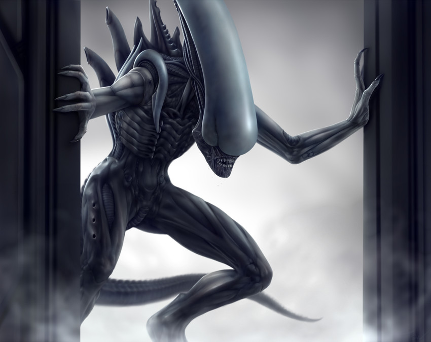 xenomorph and proto-xenomorph (alien and 1 more) drawn by groomlake