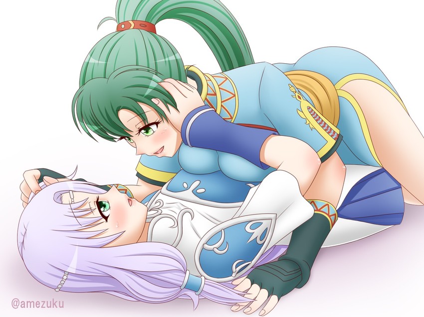 lyn and florina (fire emblem and 2 more) drawn by amezuku