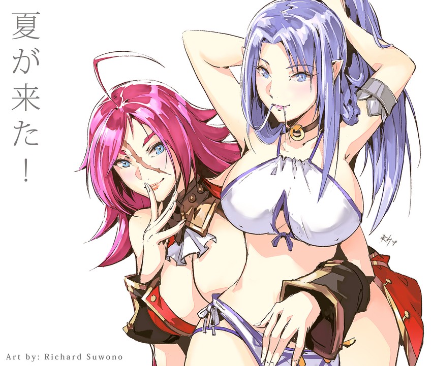 medea and francis drake (fate and 4 more) drawn by richard_suwono