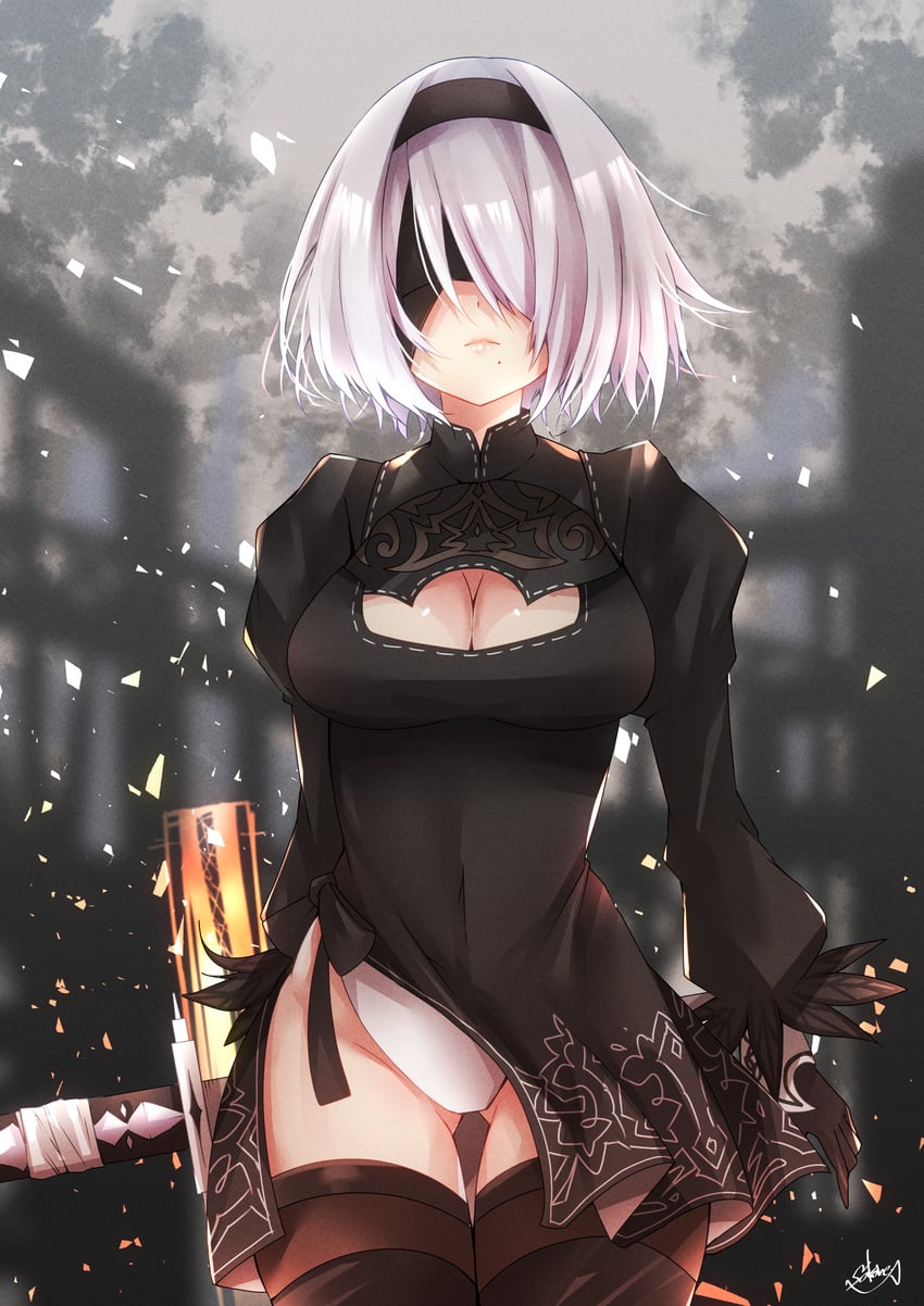 2b (nier and 1 more) drawn by yanagiba_sakana